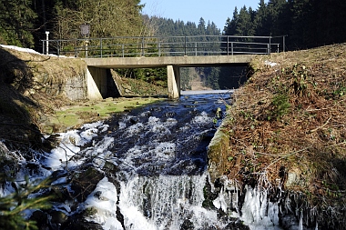 Unterer Grumbacher Teich Oberharzer Wasserwirtschaft 350 Bilder